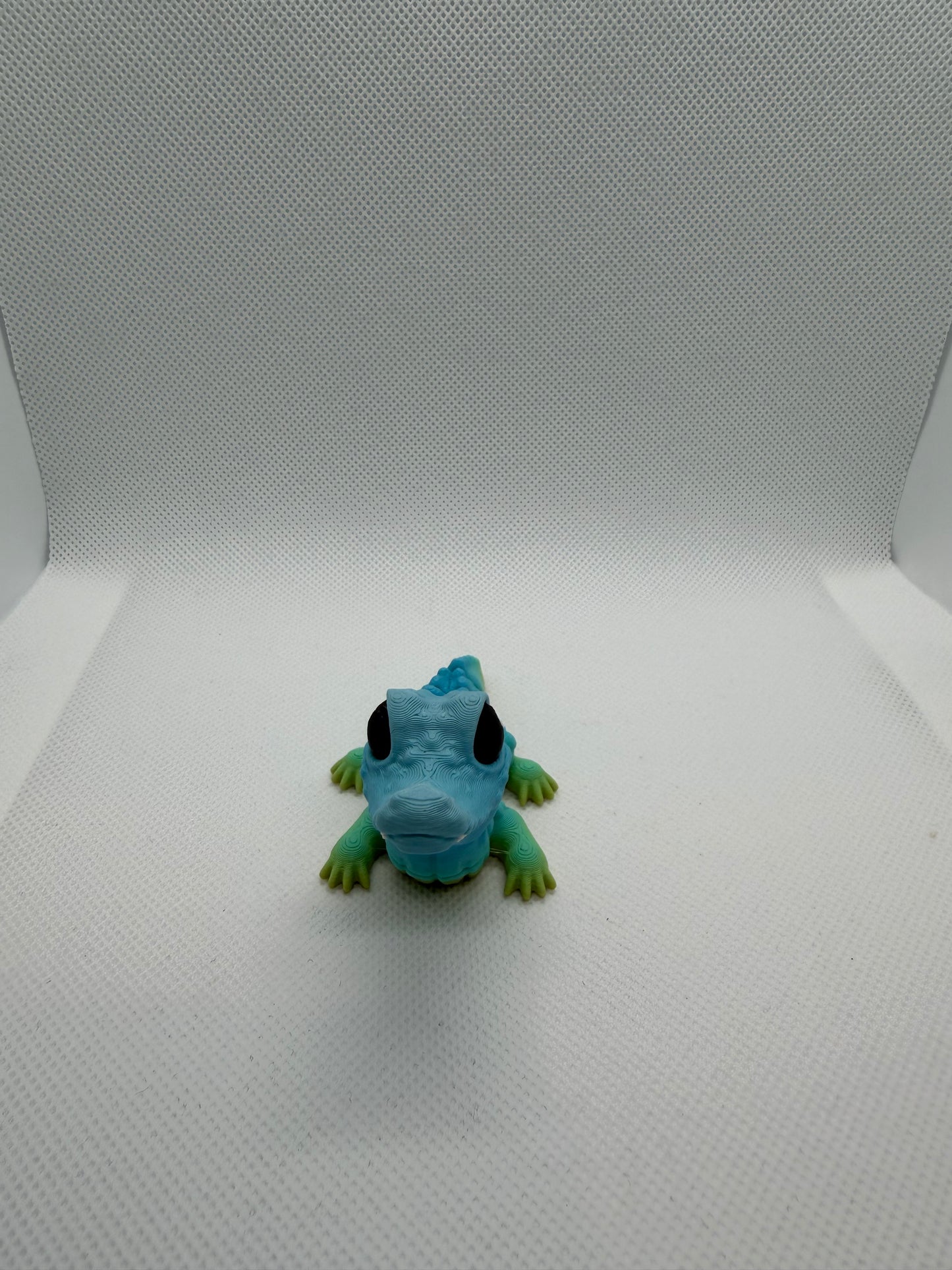 Crocodile Hatchling
