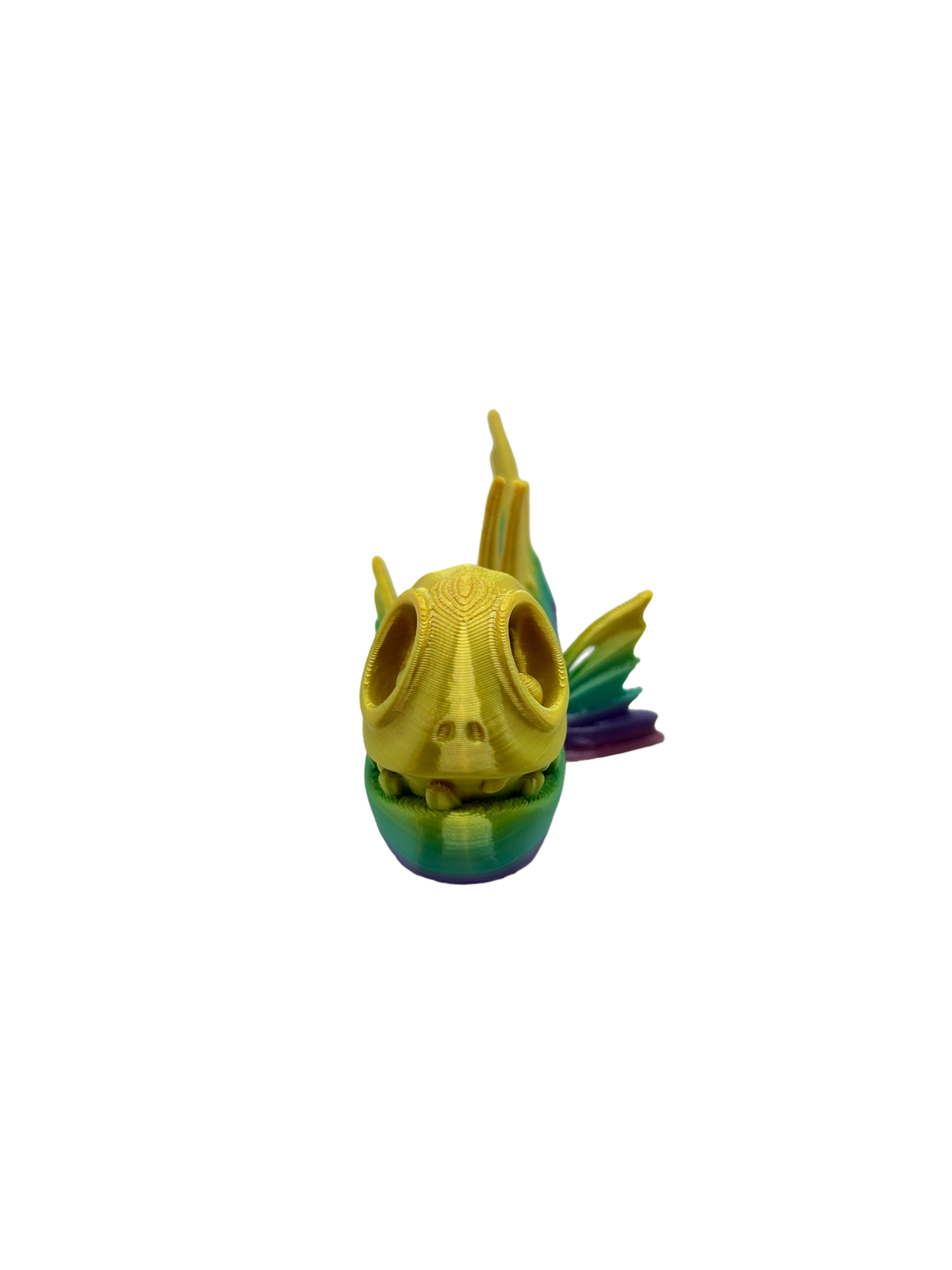 SkeleFish - Small image 6