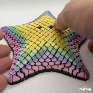 Betsie the Bat Sea Starfish