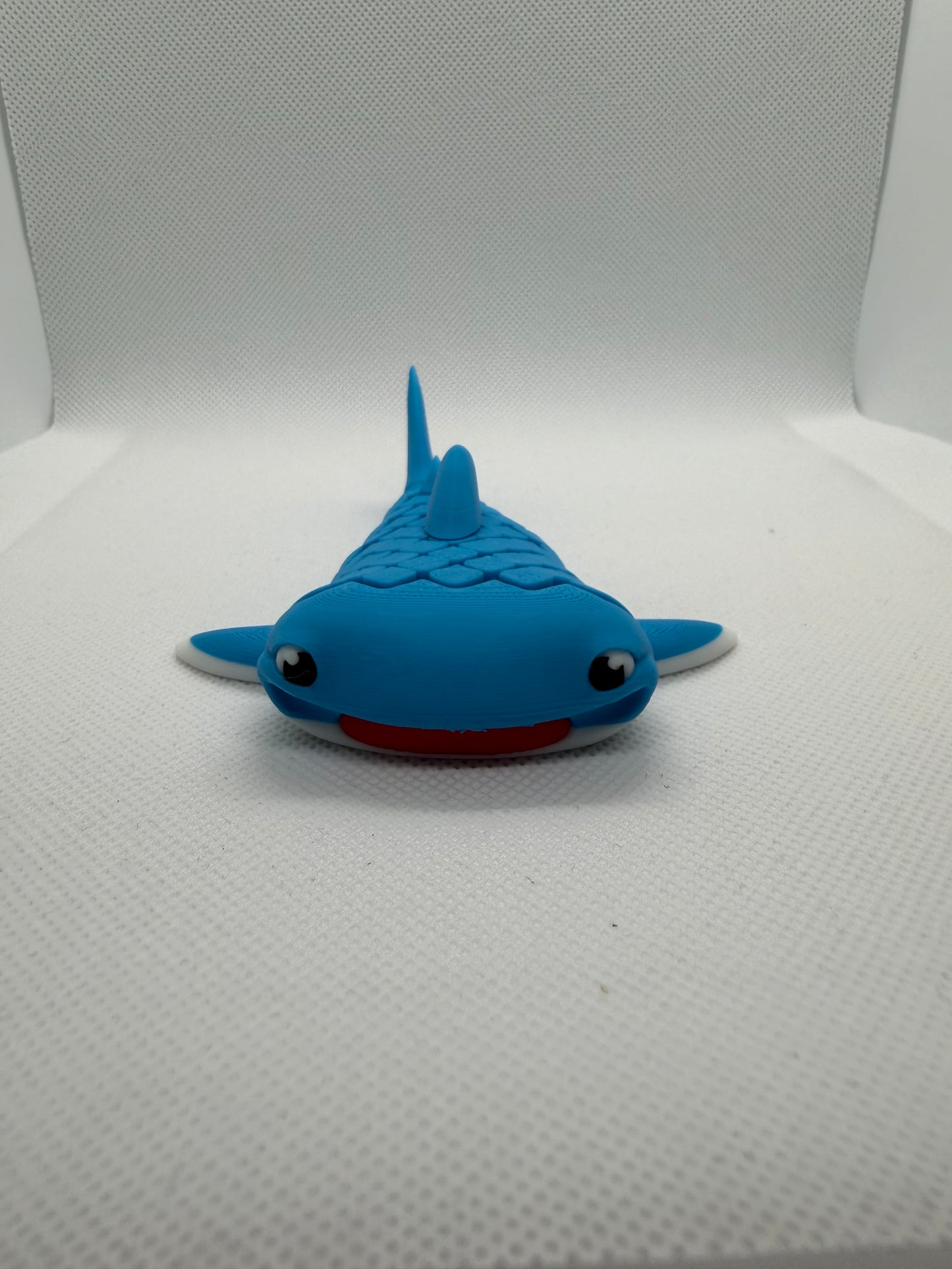 Mark, The Whale Shark