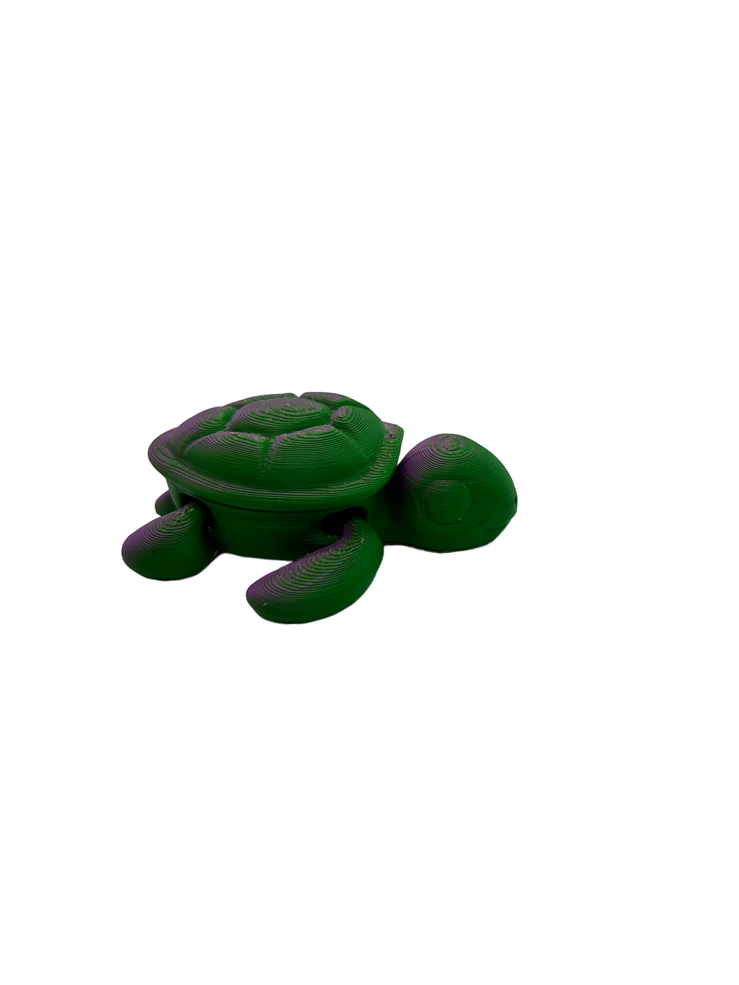 Turtle - Small image 2