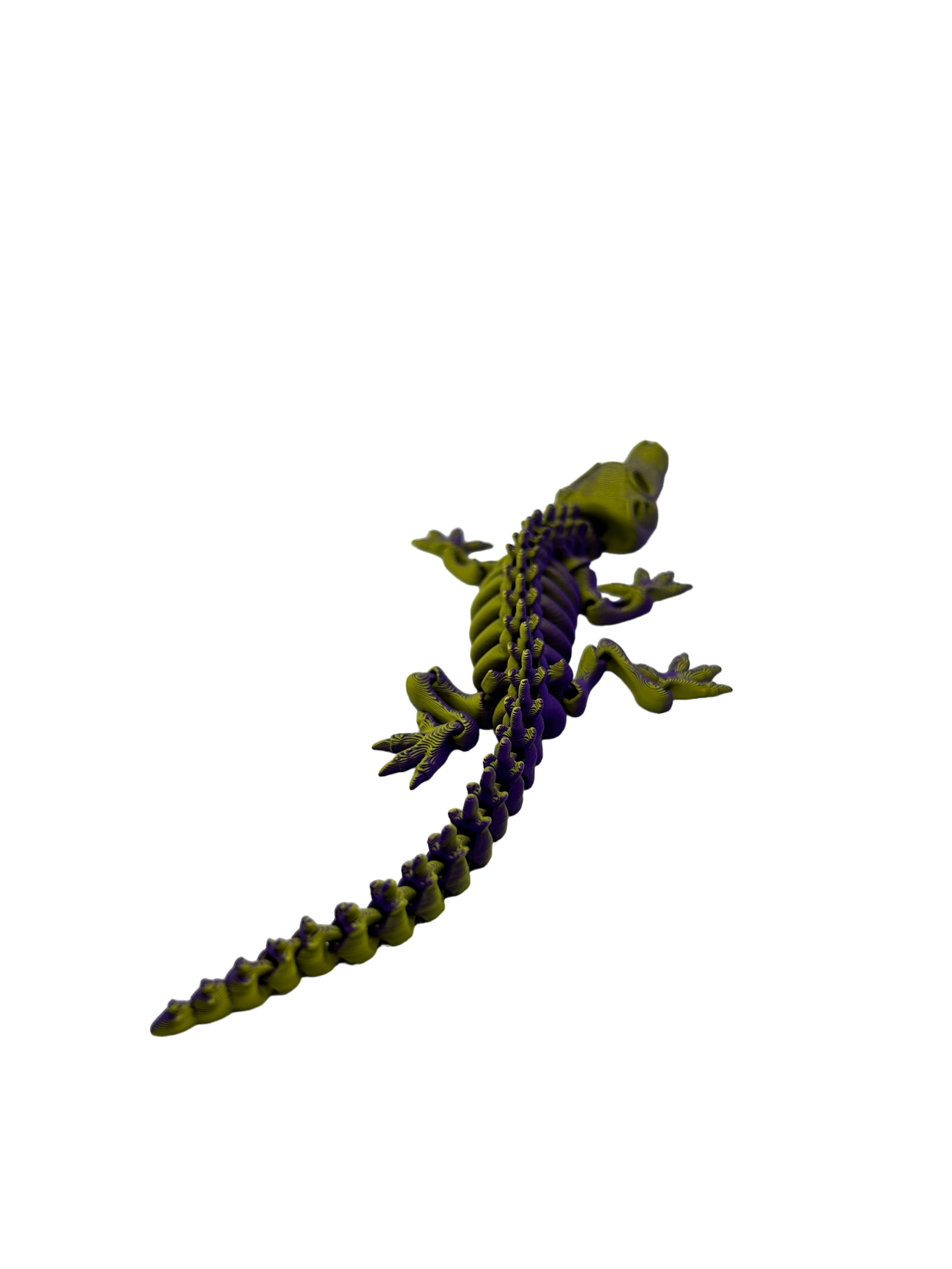 Skele Croc - Small image 3