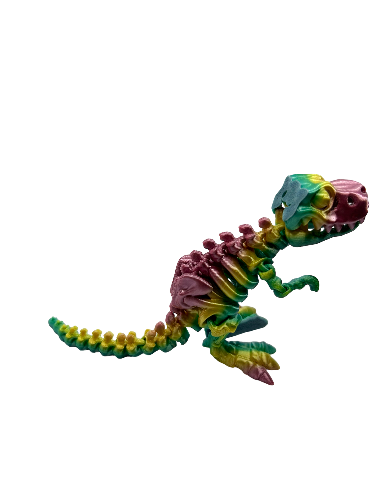 Skele T Rex - Small image 3