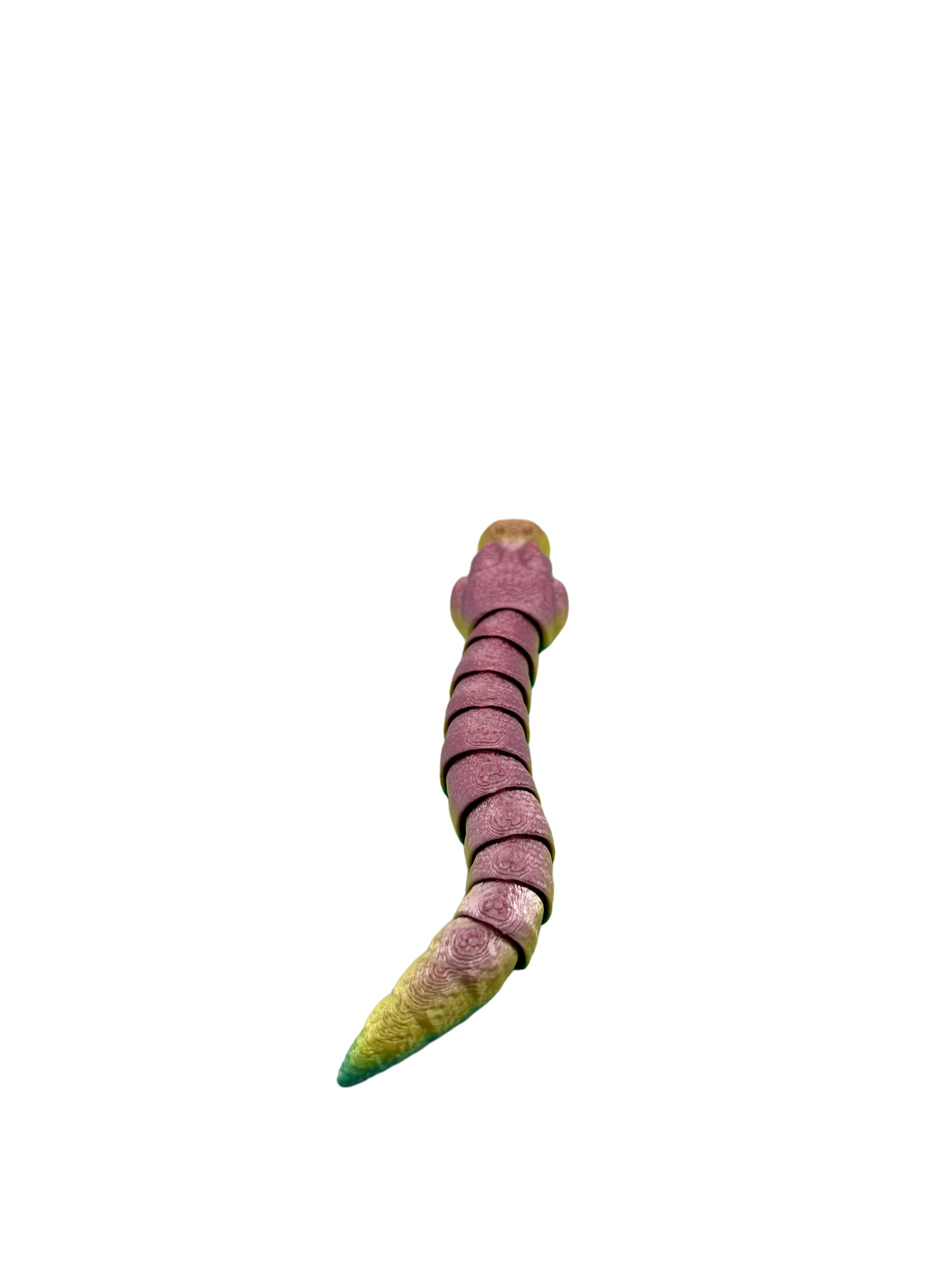 Baby Ball Python image 1