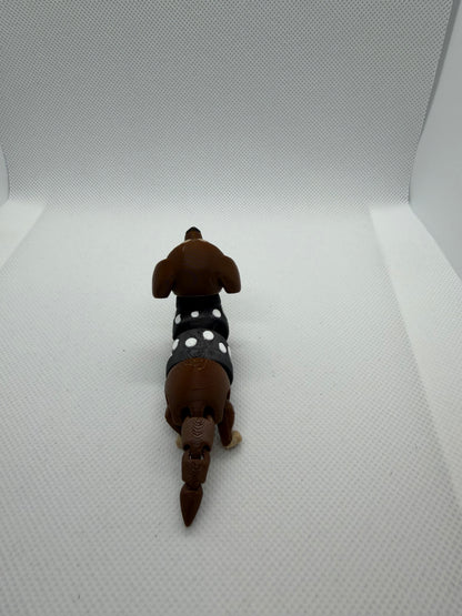 Dachshund Buddy