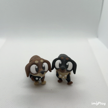Dachshund Buddy
