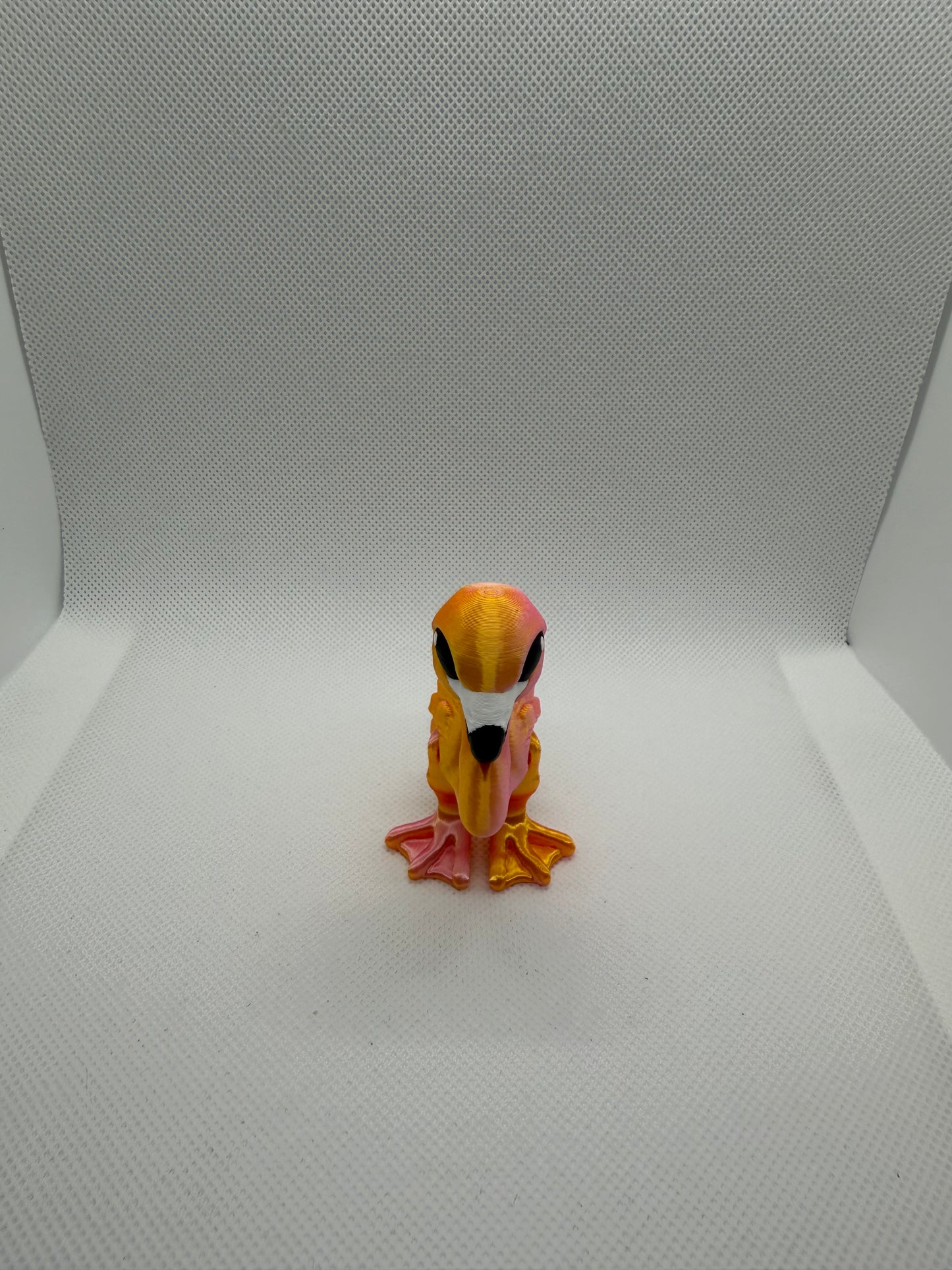 Flamingo Hatchling