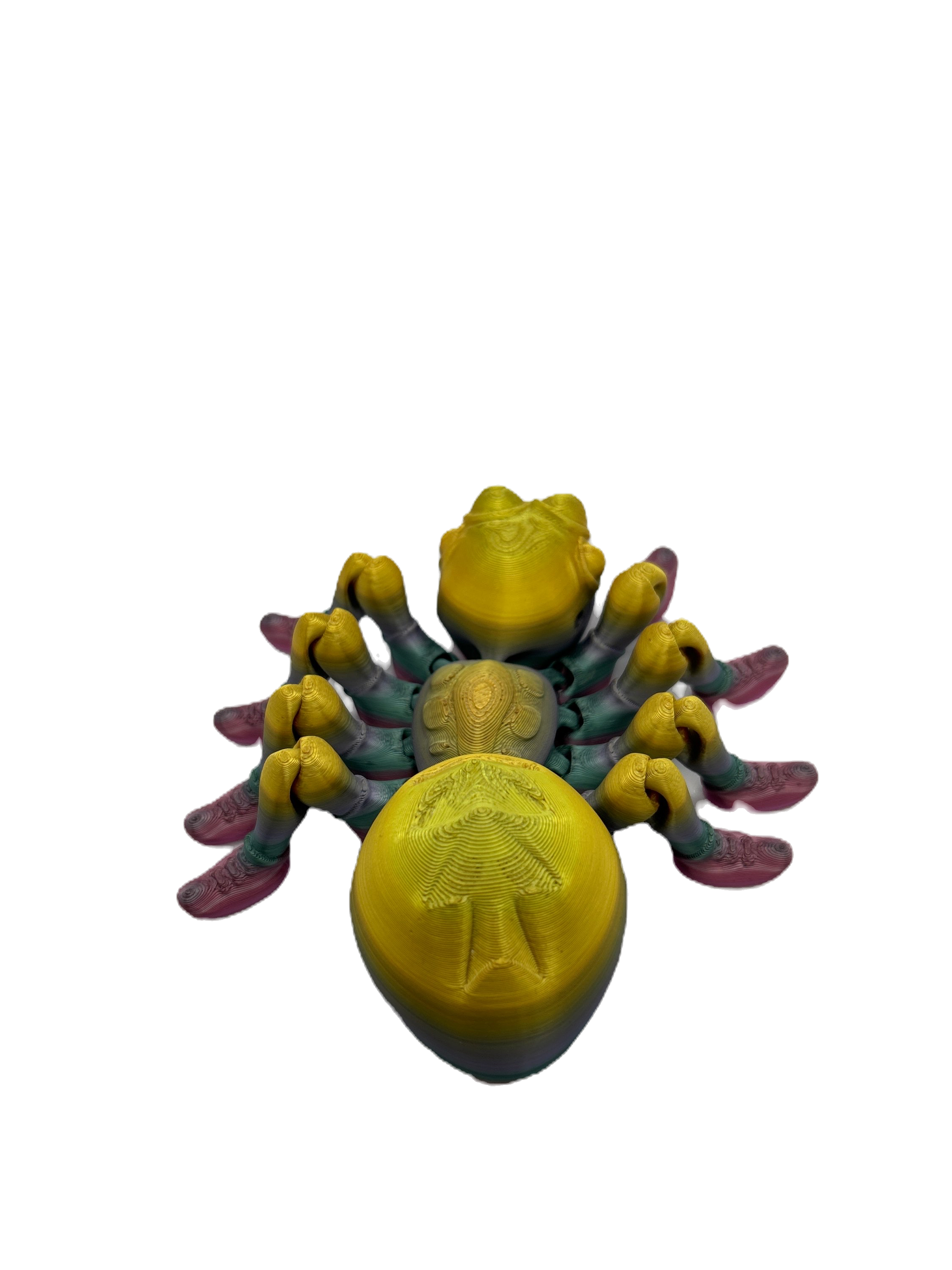 Flexi Spider - Small image 4