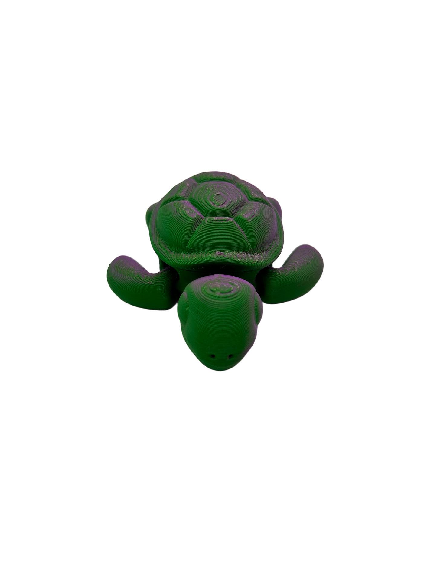 Turtle - Small image 0