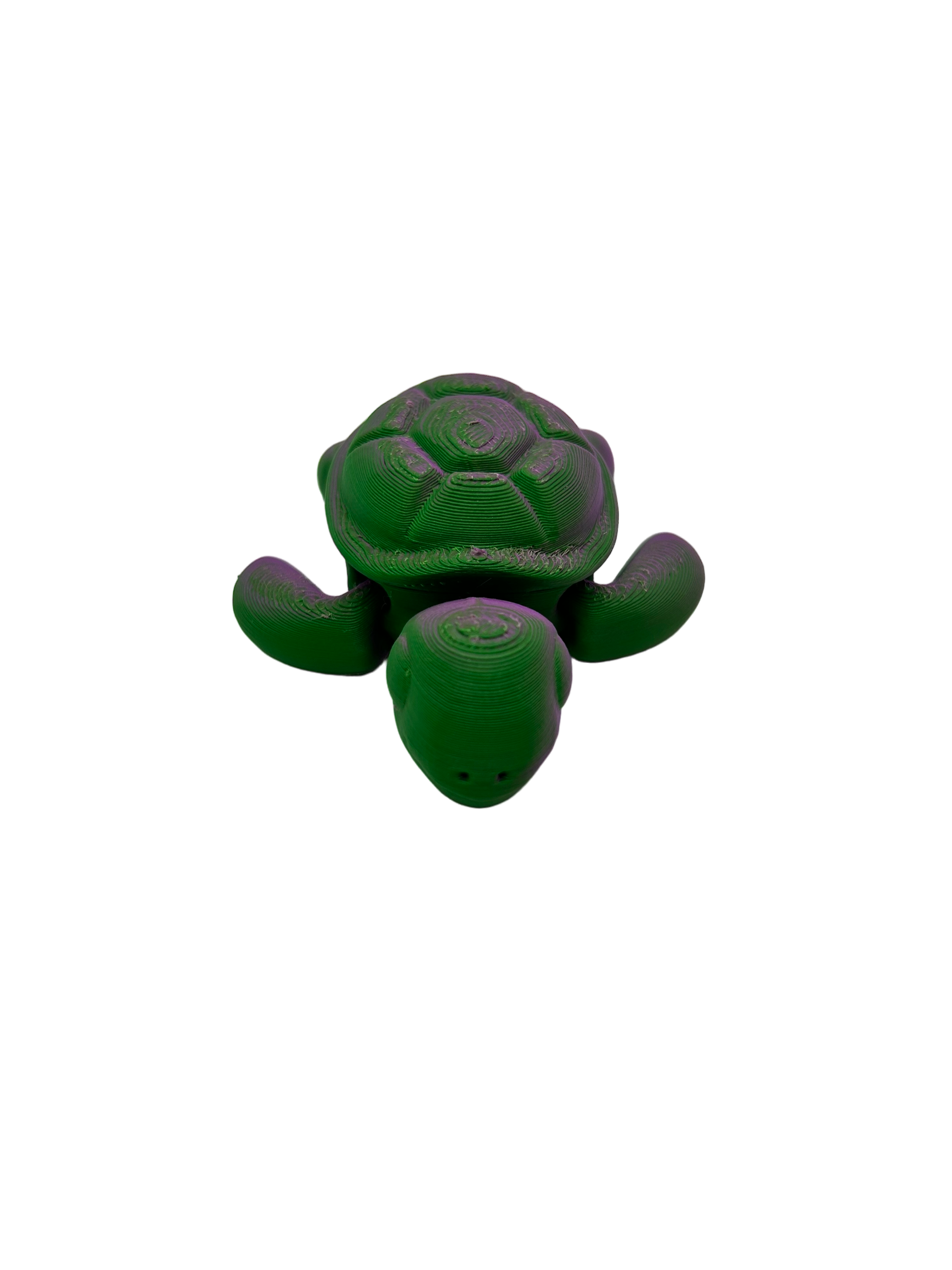 Turtle - Small image 0