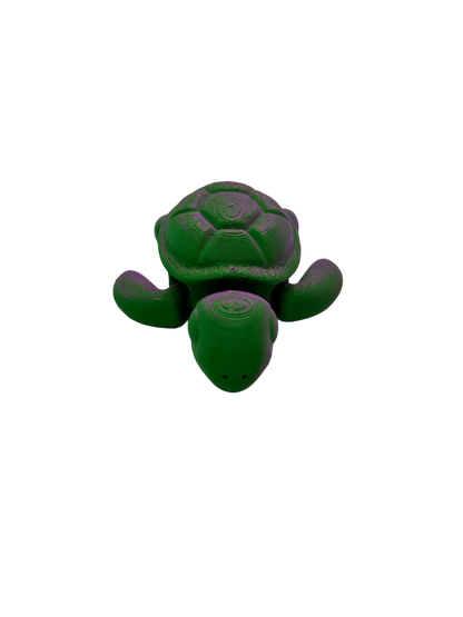 Turtle - Small image 0