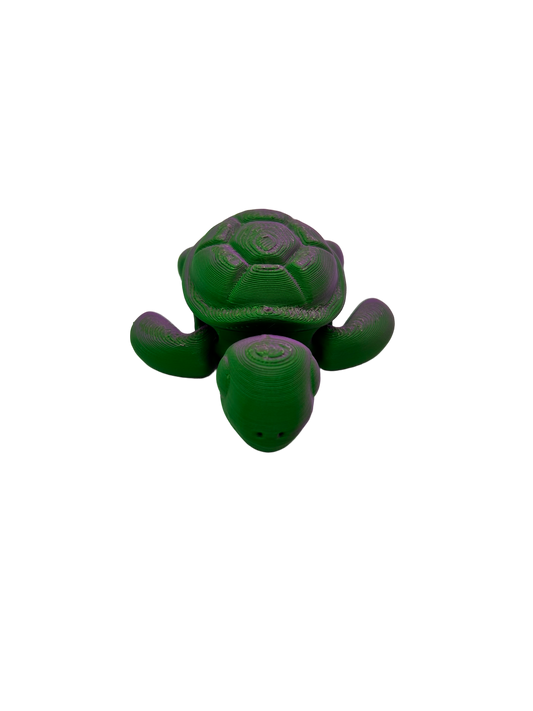Turtle - Small image 0