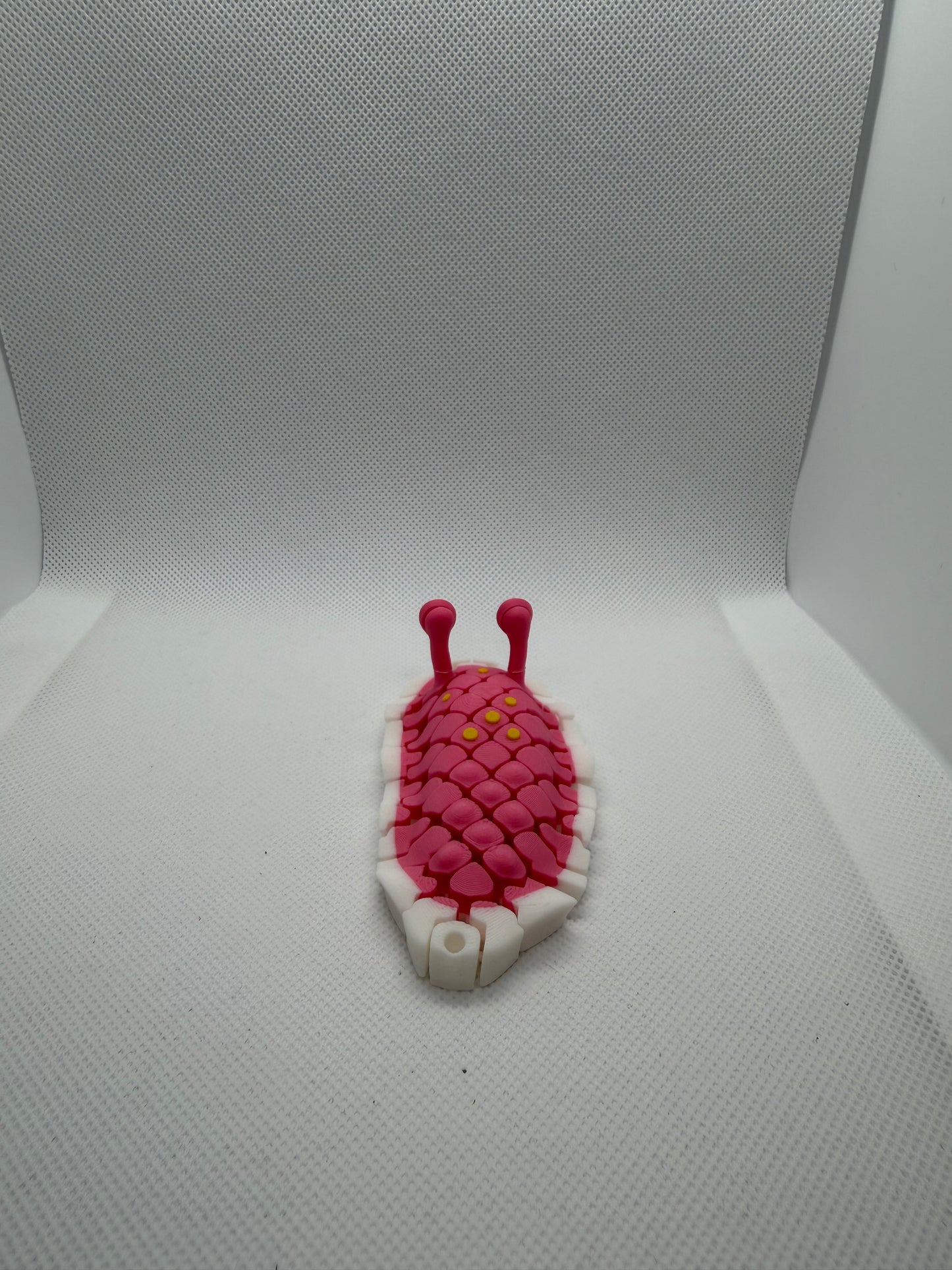 Doug, The Sea Slug Flexi