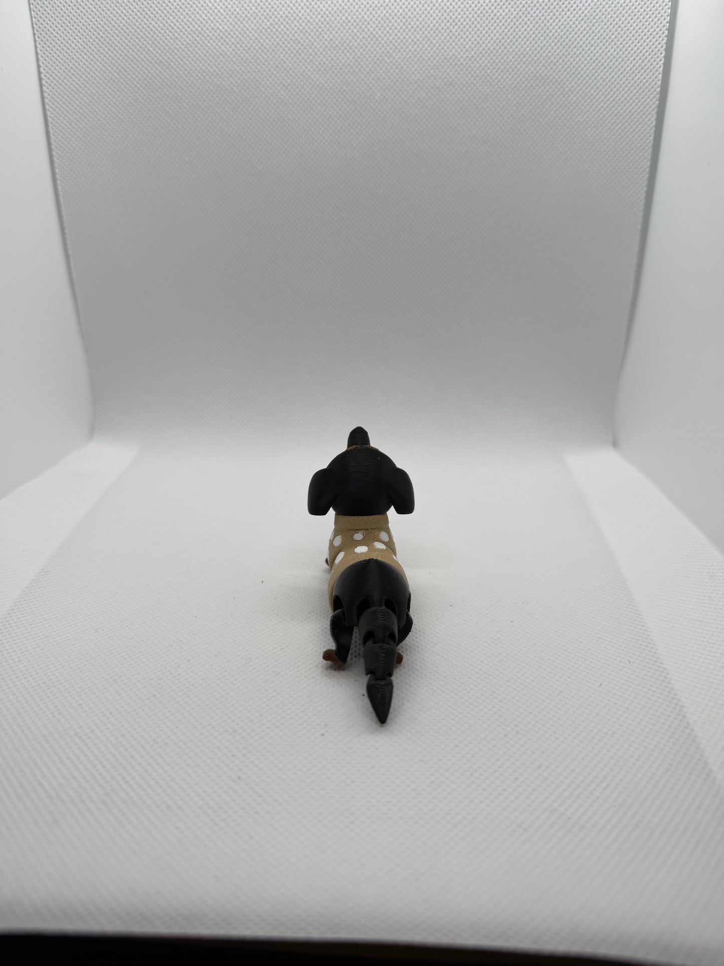 Dachshund Buddy