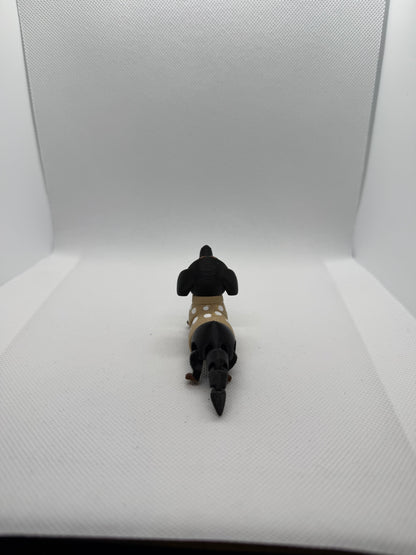 Dachshund Buddy