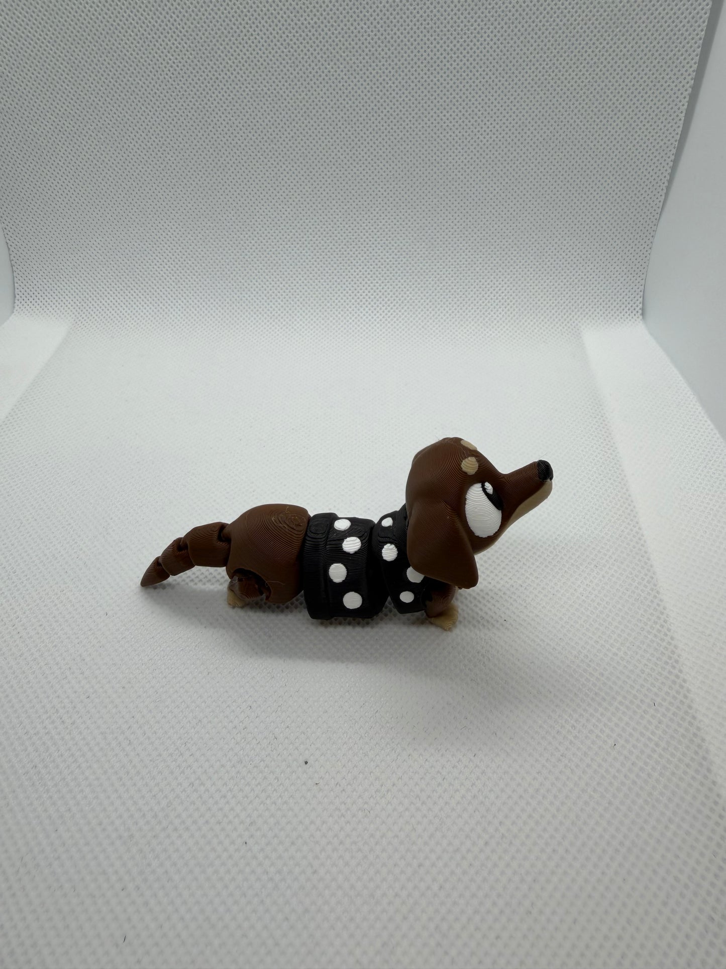 Dachshund Buddy