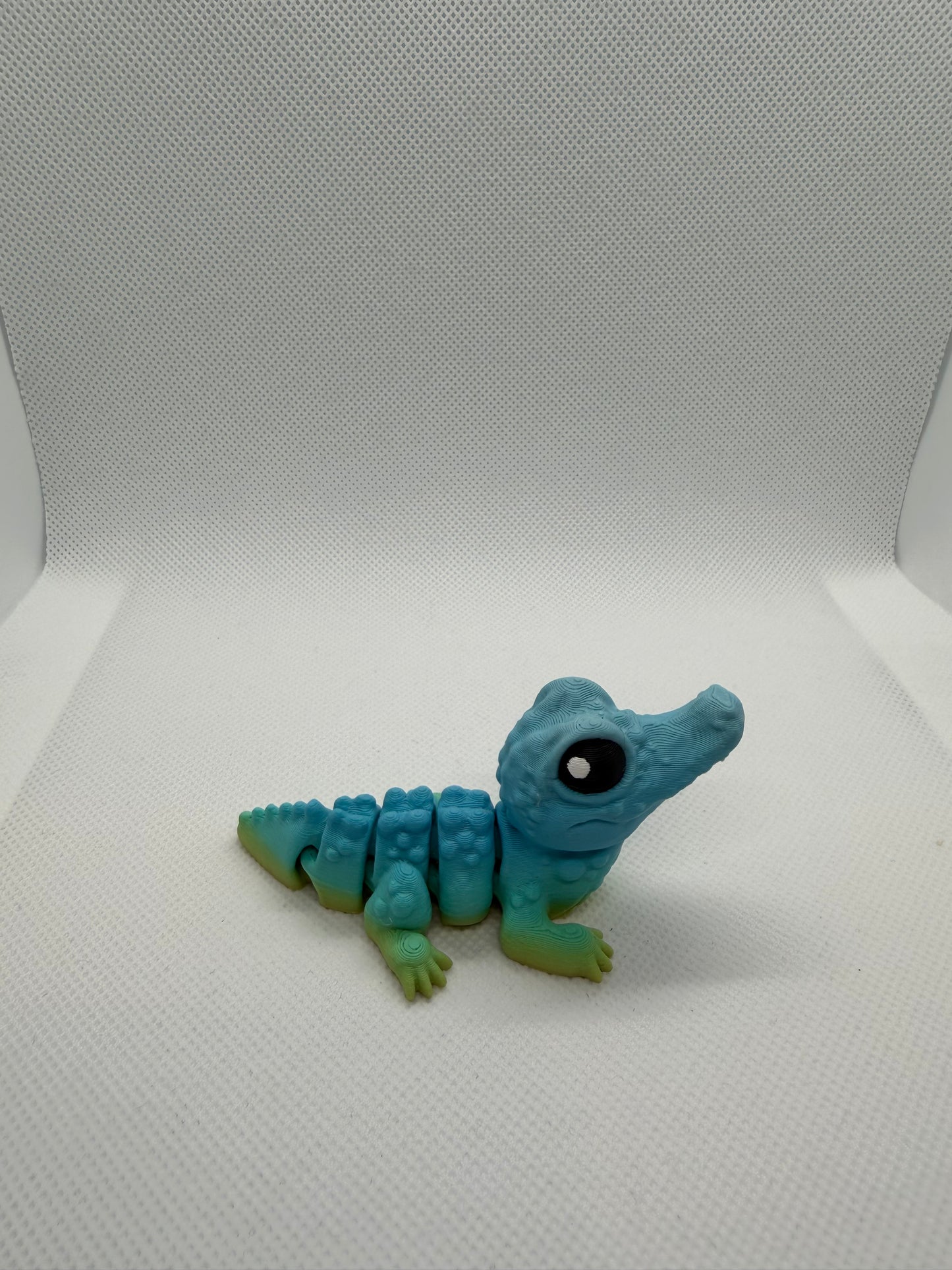 Crocodile Hatchling
