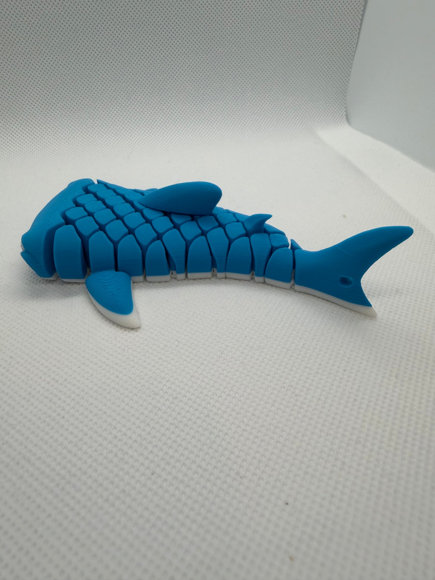 Mark, The Whale Shark