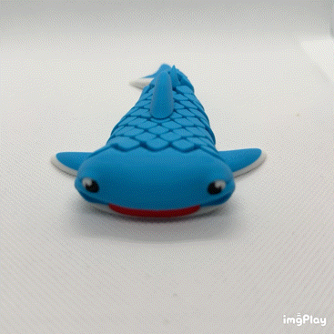 Mark, The Whale Shark