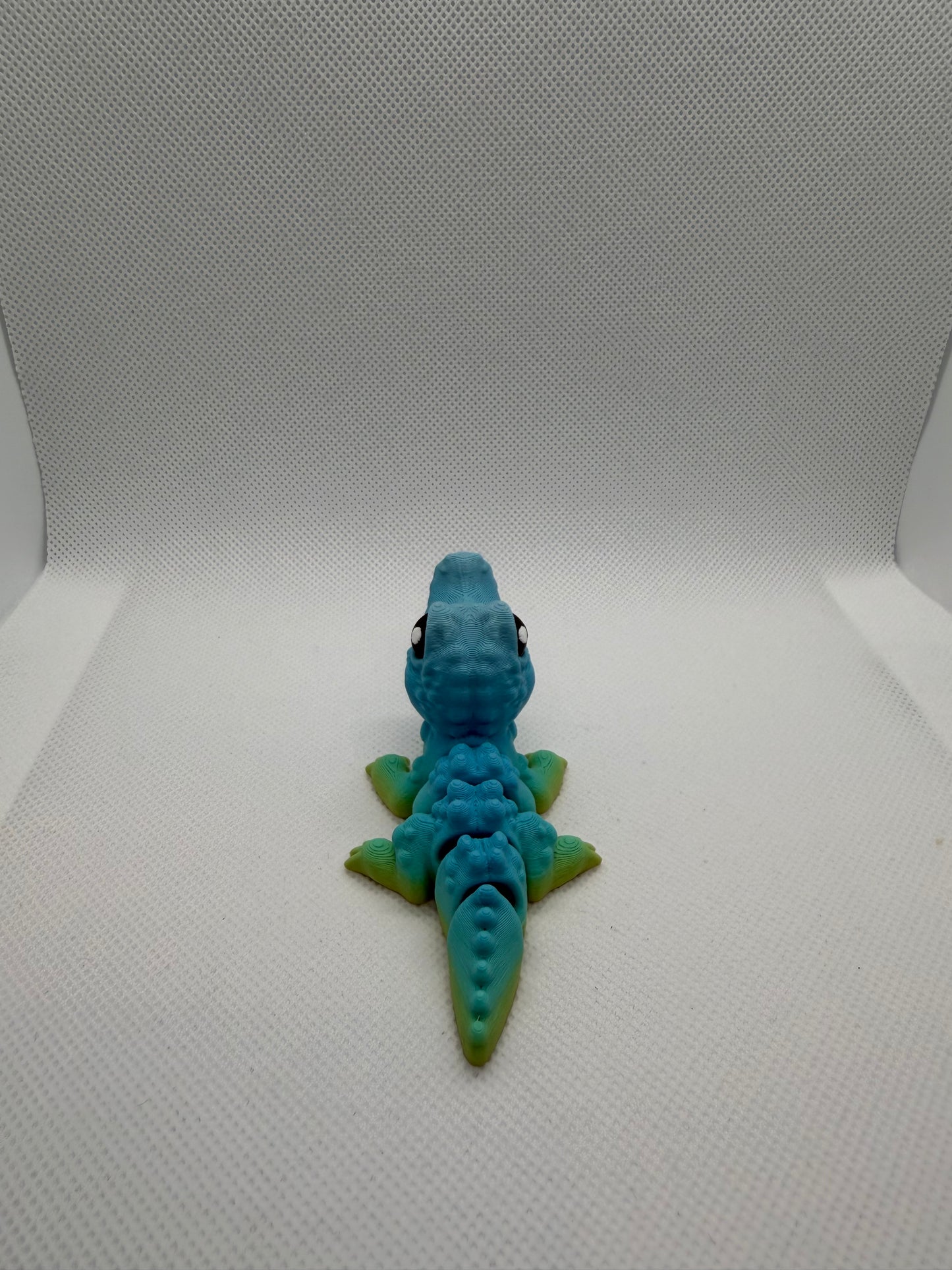 Crocodile Hatchling