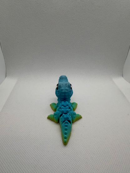 Crocodile Hatchling