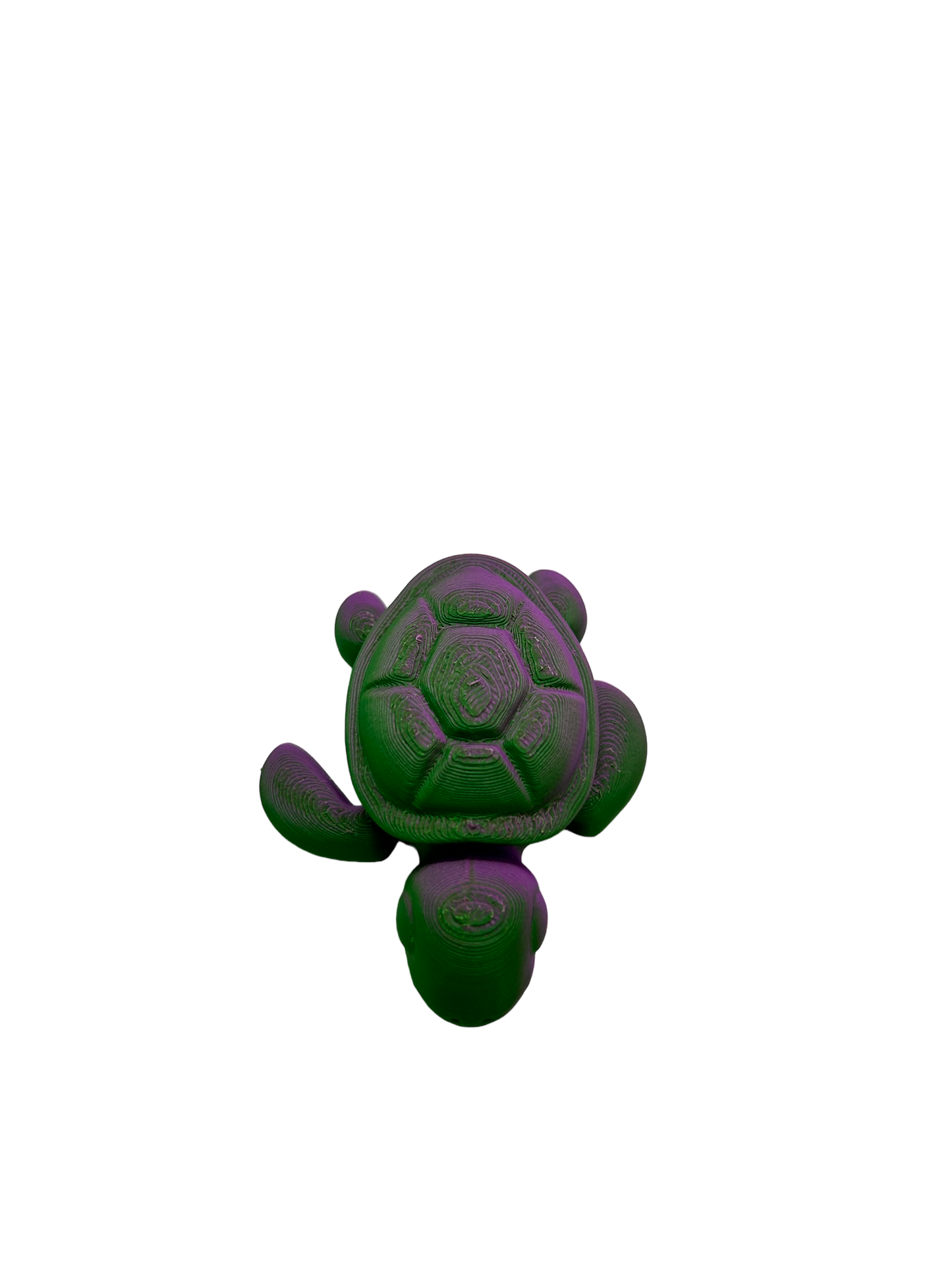 Turtle - Small image 1