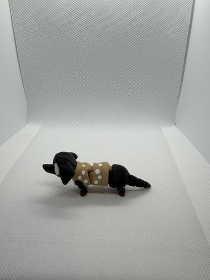 Dachshund Buddy