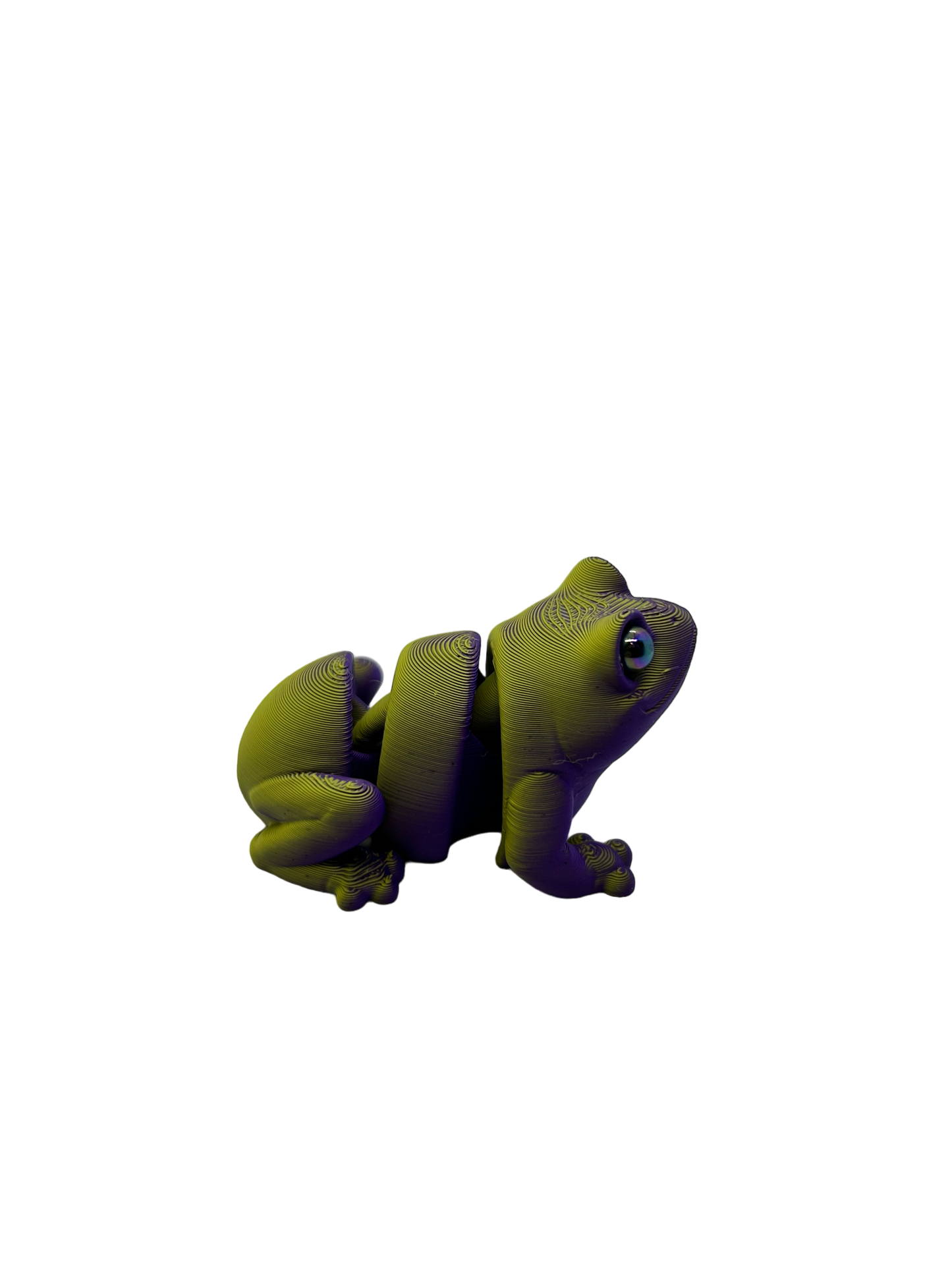 Frog  - Small image 3