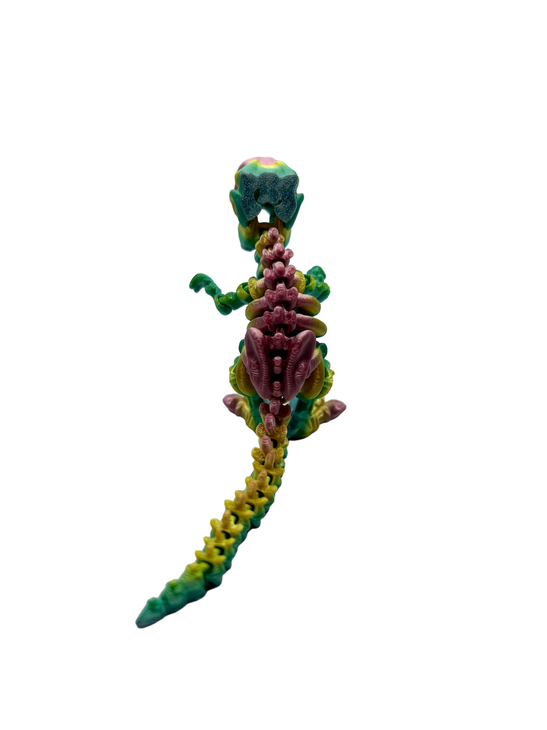 Skele T Rex - Small image 5