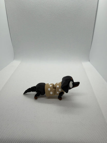 Dachshund Buddy