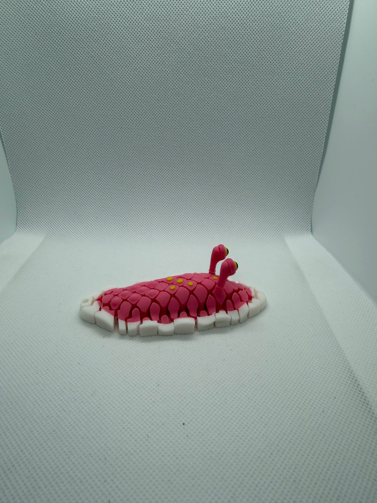 Doug, The Sea Slug Flexi