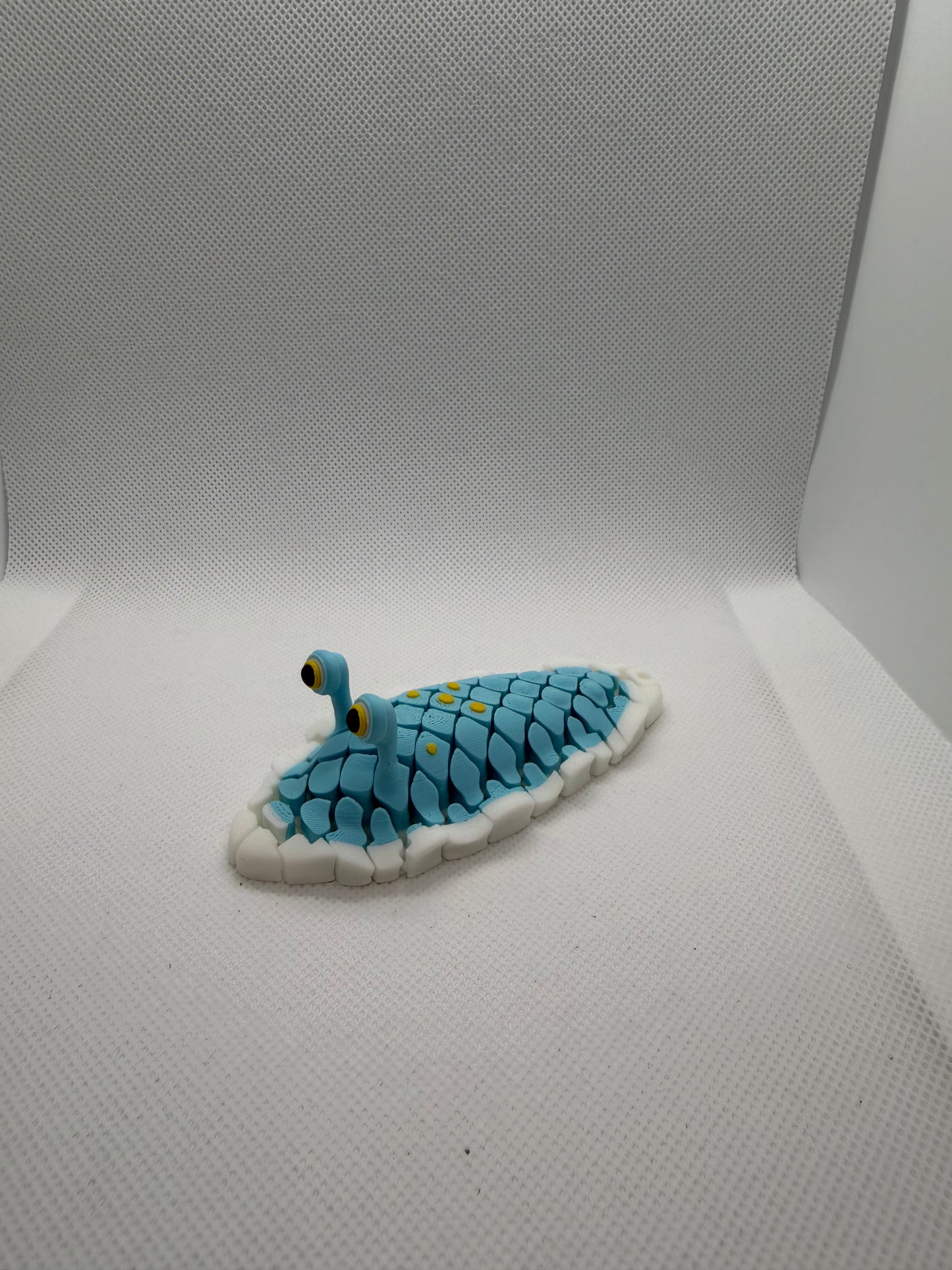 Doug, The Sea Slug Flexi