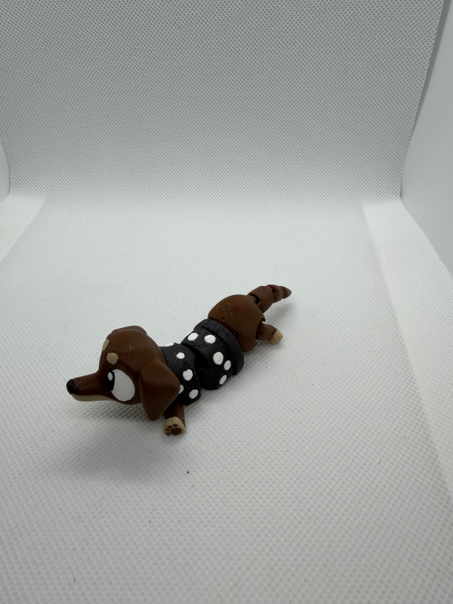 Dachshund Buddy