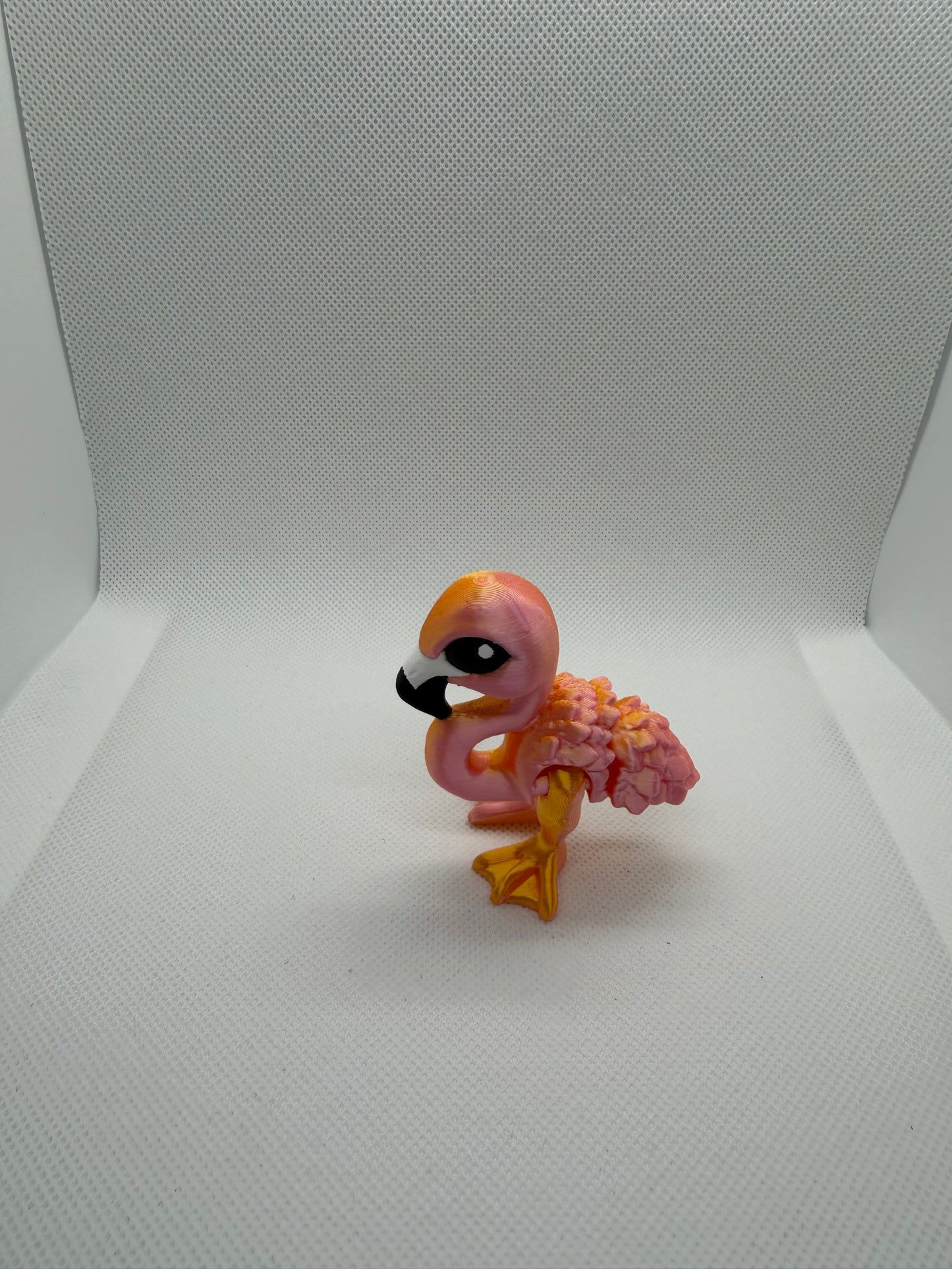 Flamingo Hatchling