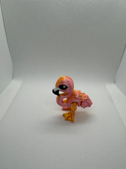 Flamingo Hatchling
