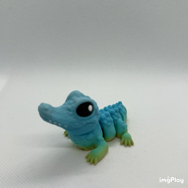 Crocodile Hatchling