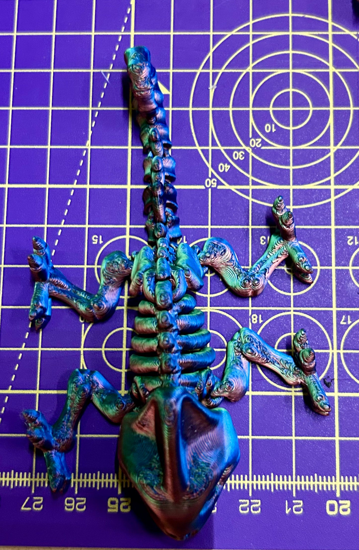 Skele Iguana