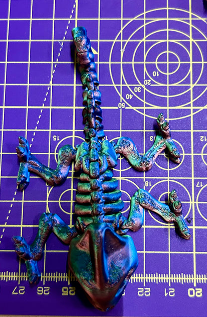Skele Iguana