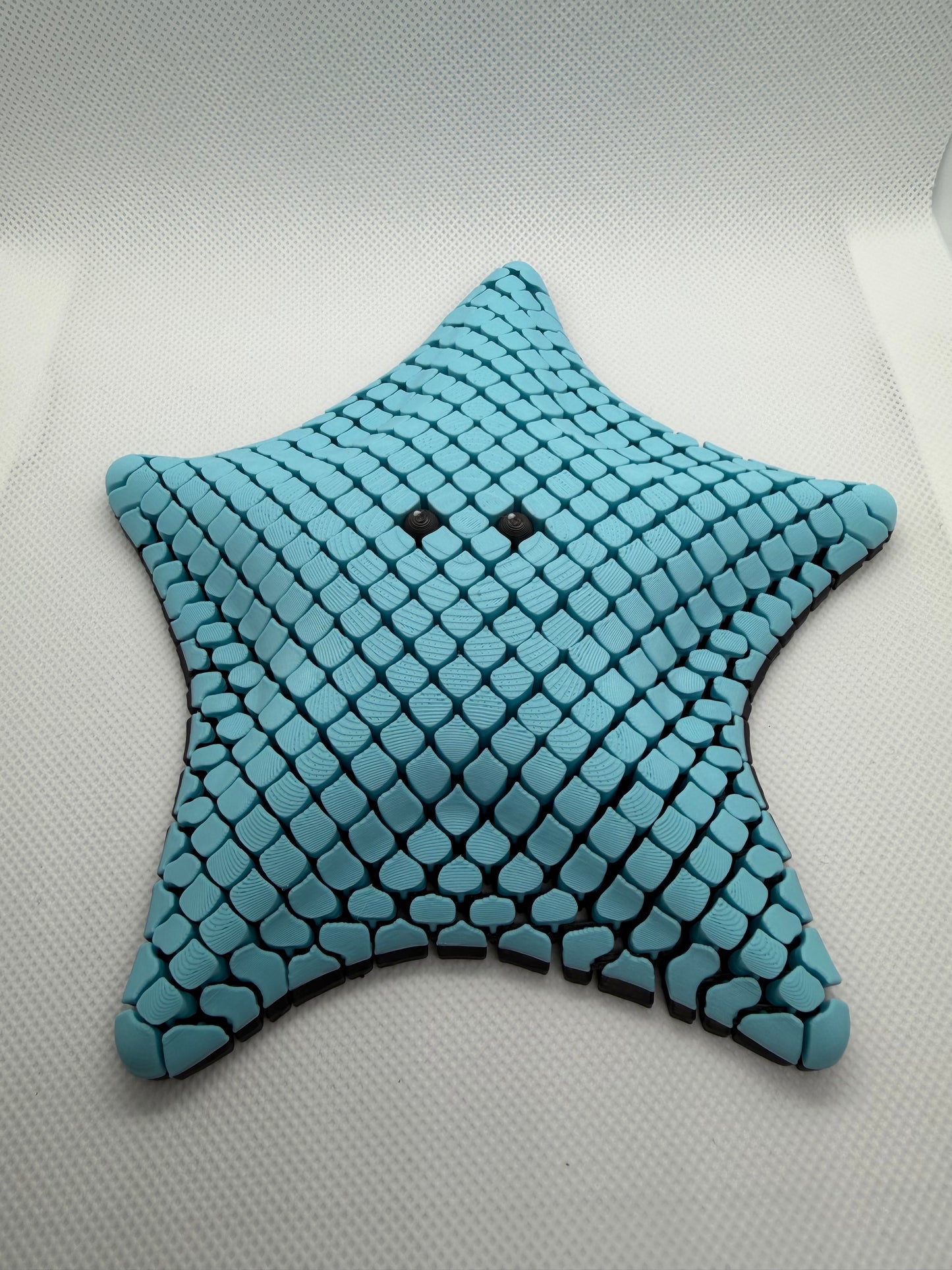 Betsie the Bat Sea Starfish