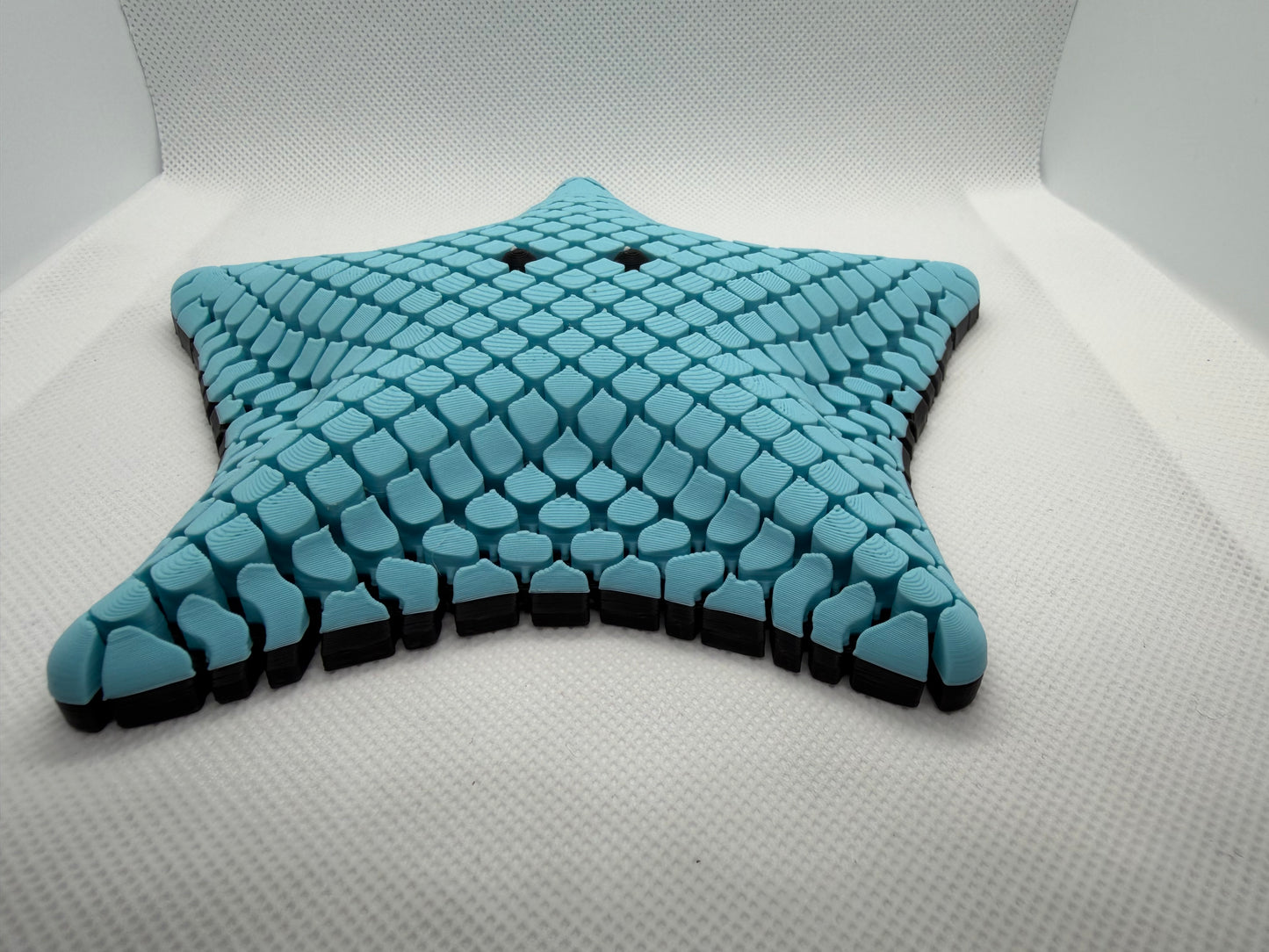 Betsie the Bat Sea Starfish