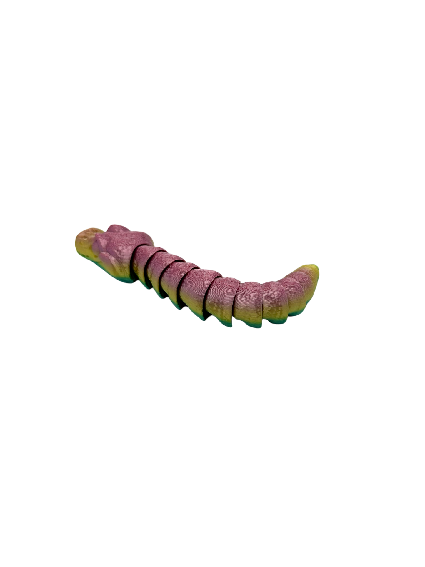 Baby Ball Python image 2
