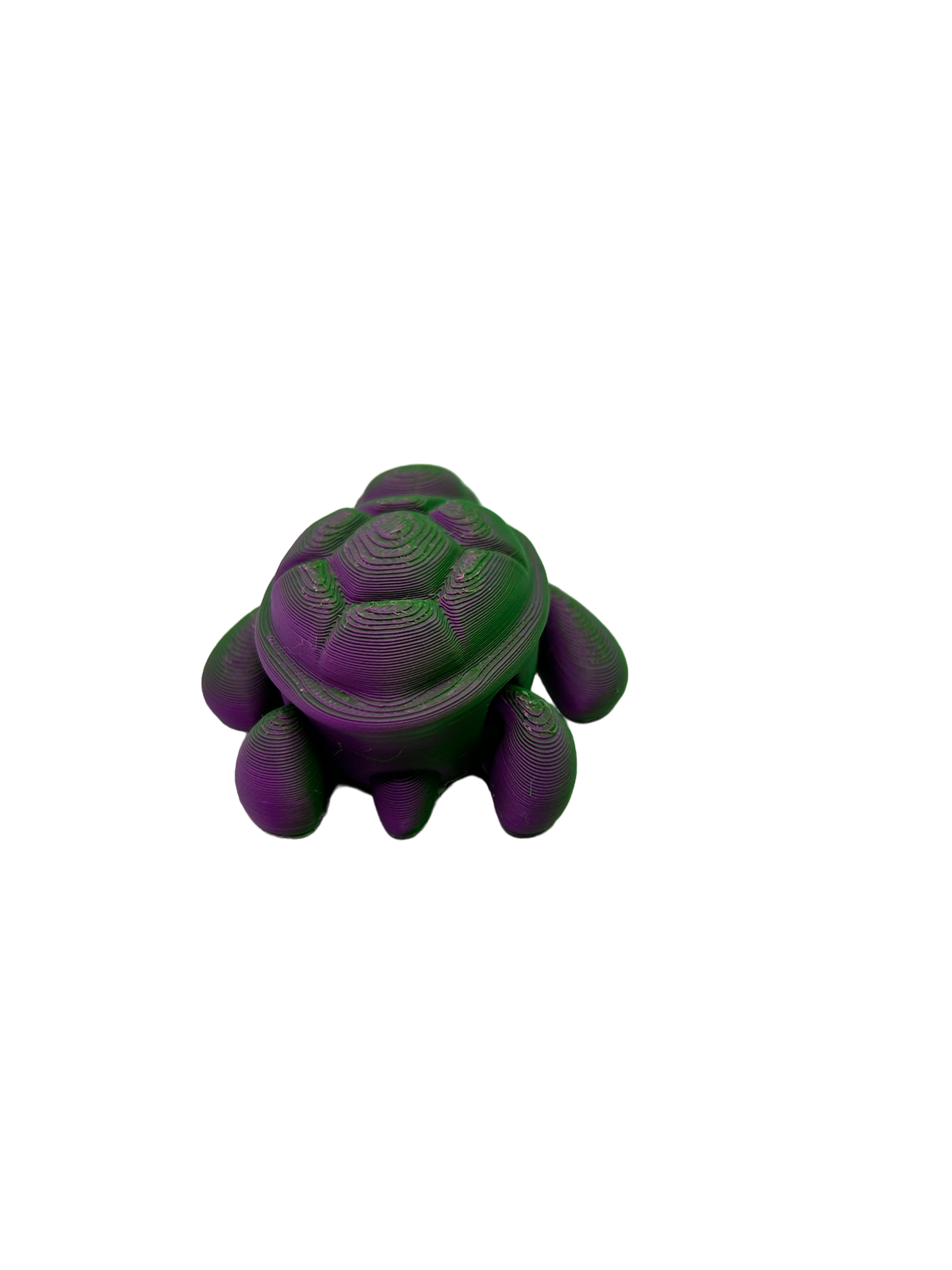 Turtle - Small image 4