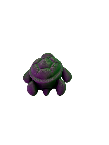 Turtle - Small image 4