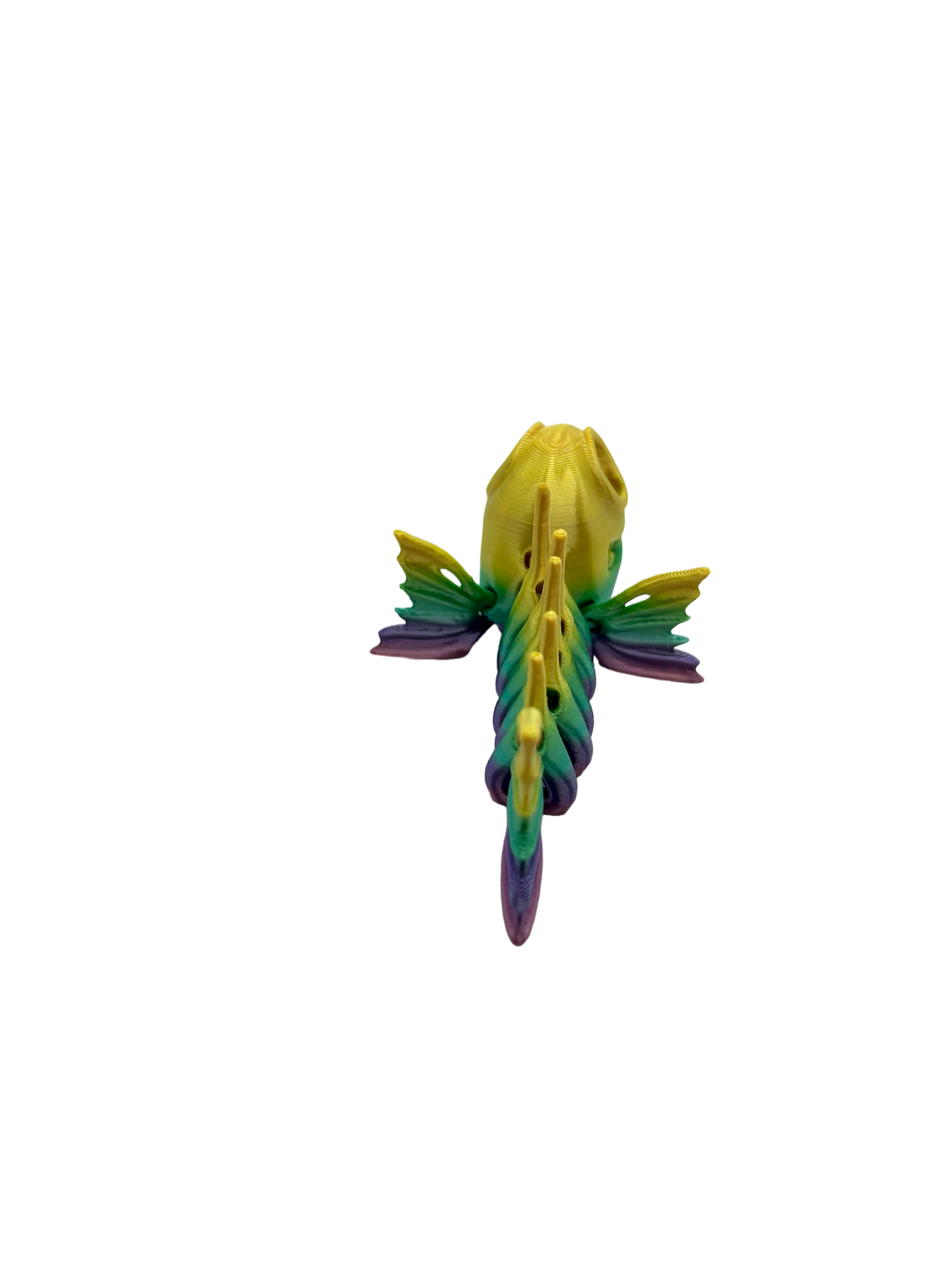 SkeleFish - Small image 2