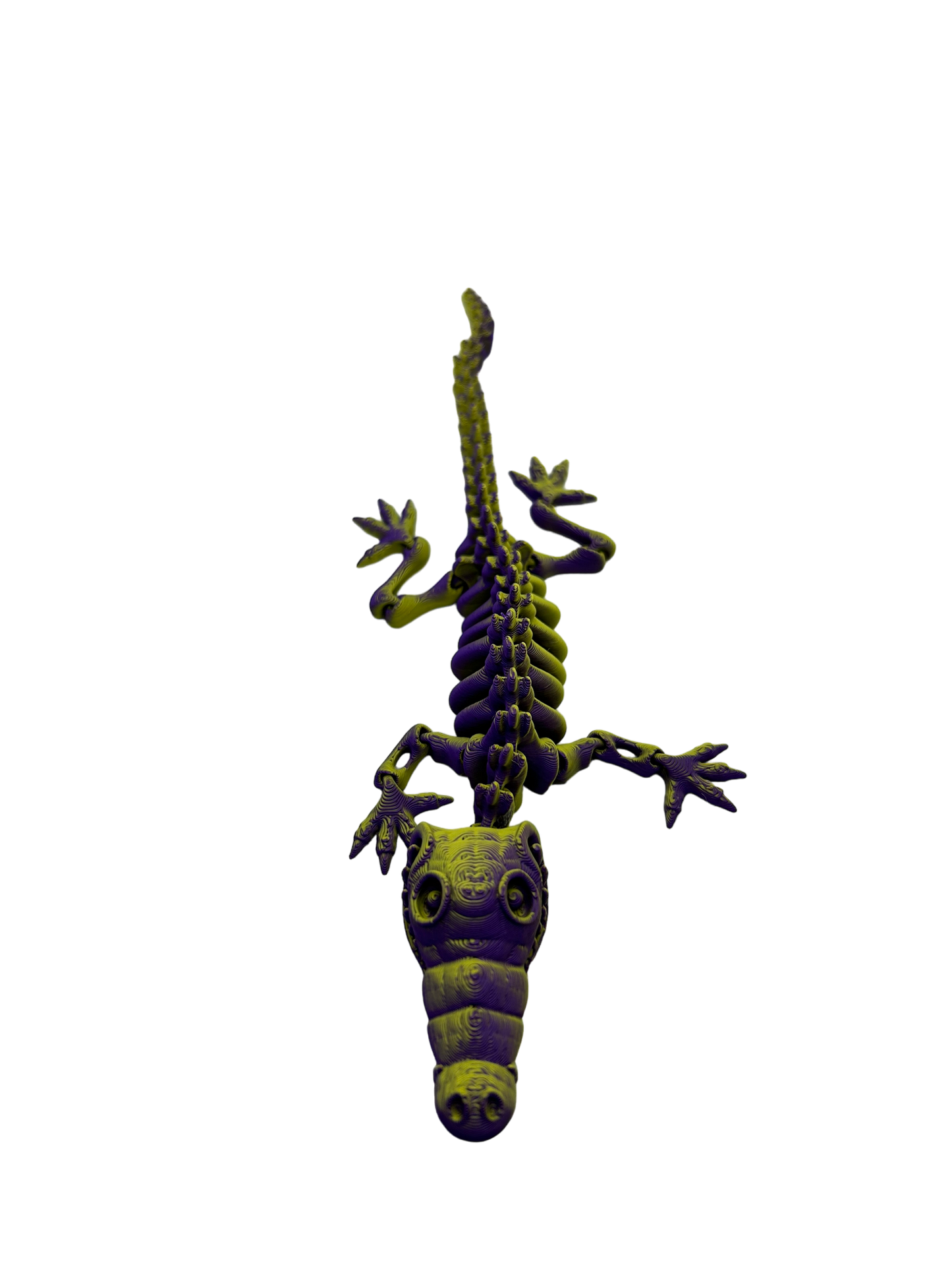 Skele Croc - Small image 4