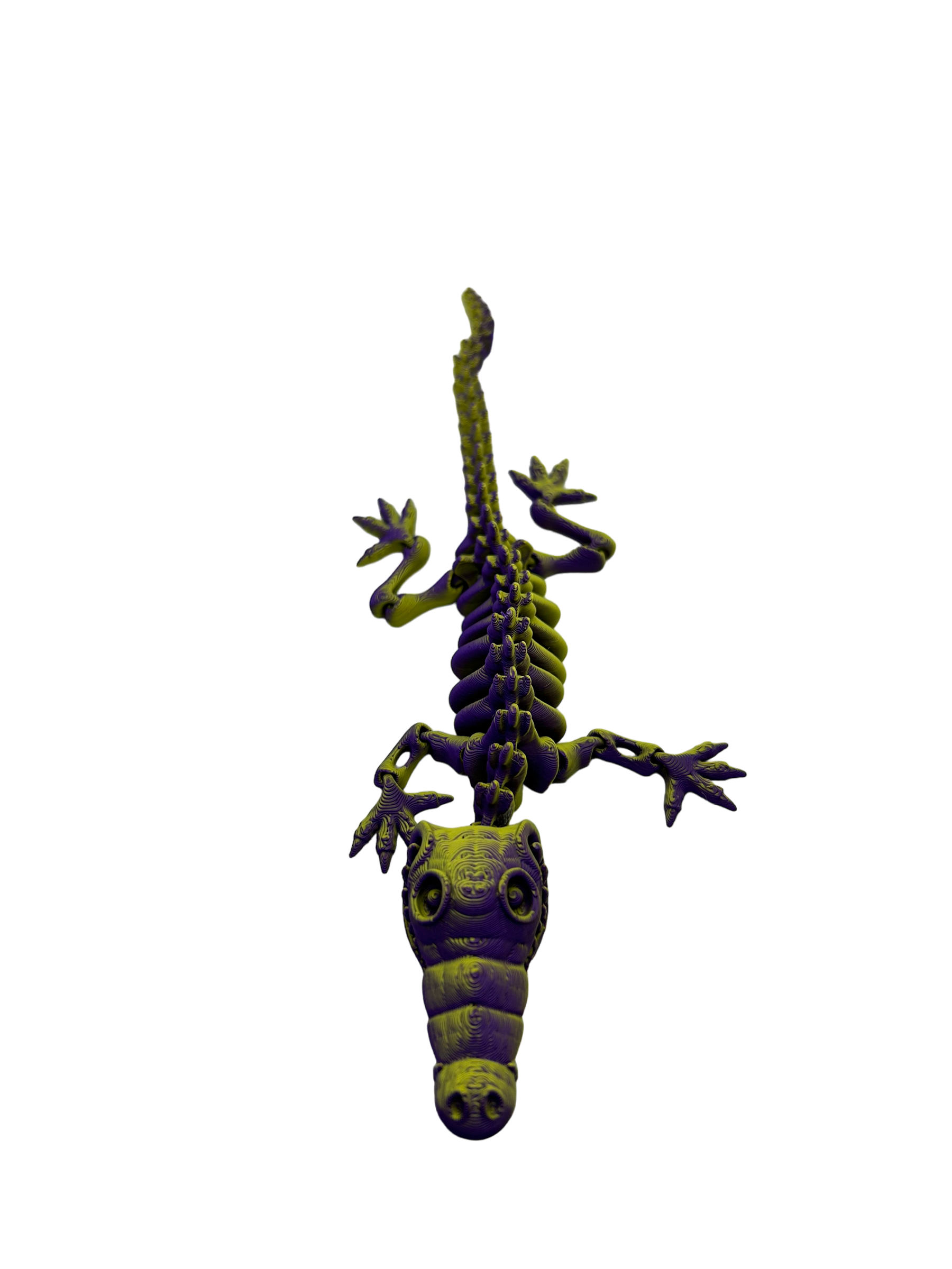 Skele Croc - Small image 4