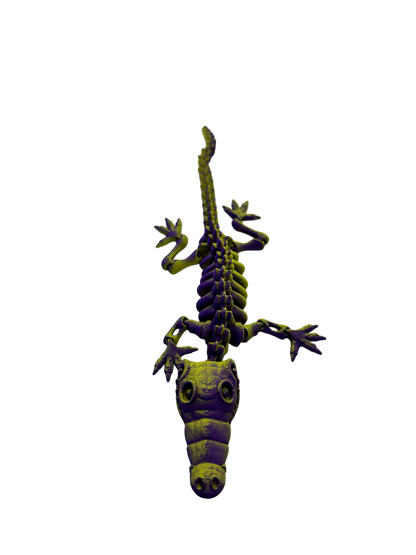 Skele Croc - Small image 4
