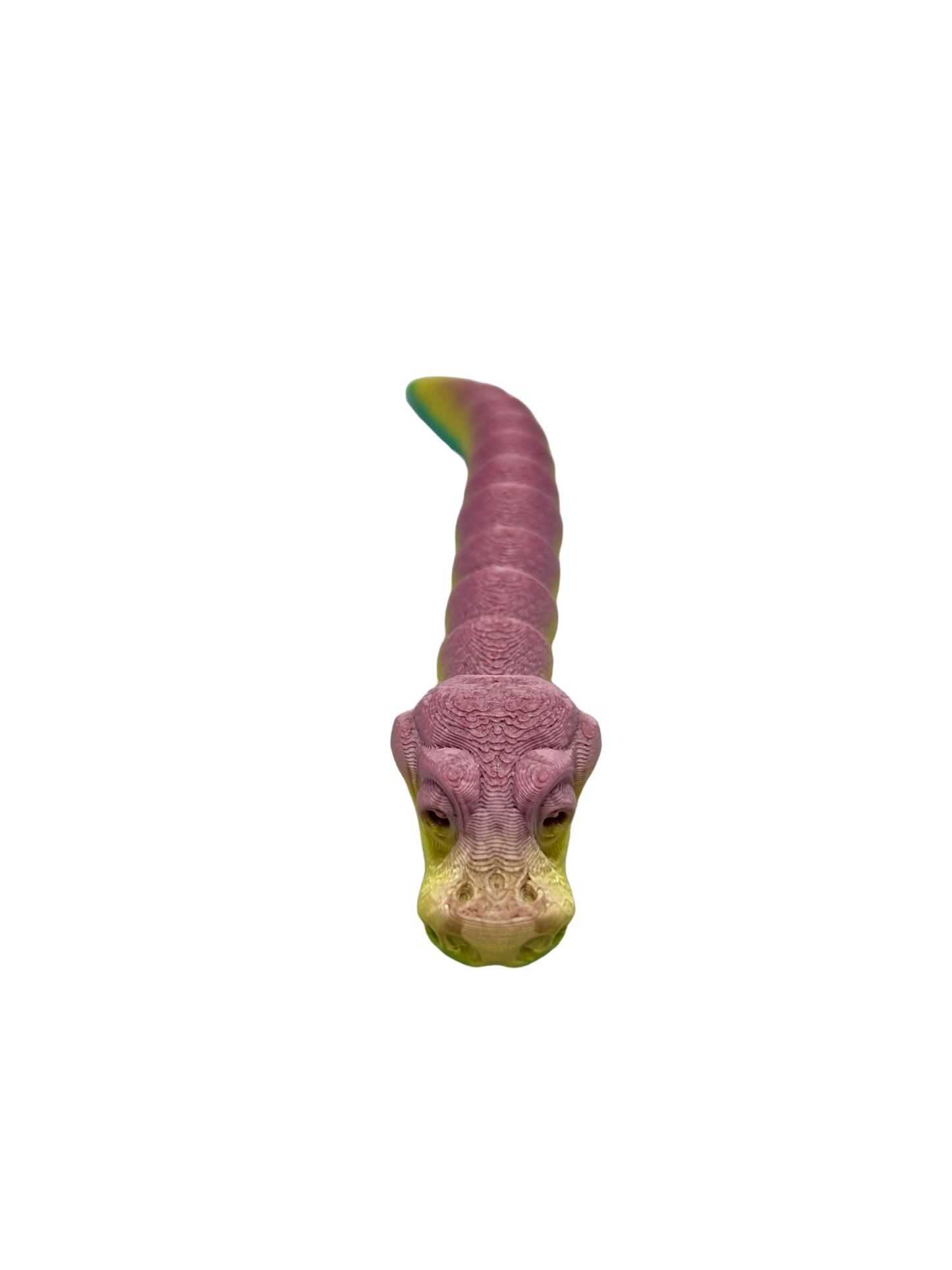 Baby Ball Python image 0