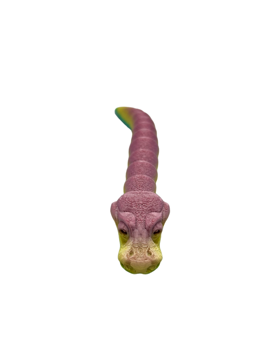 Baby Ball Python image 0