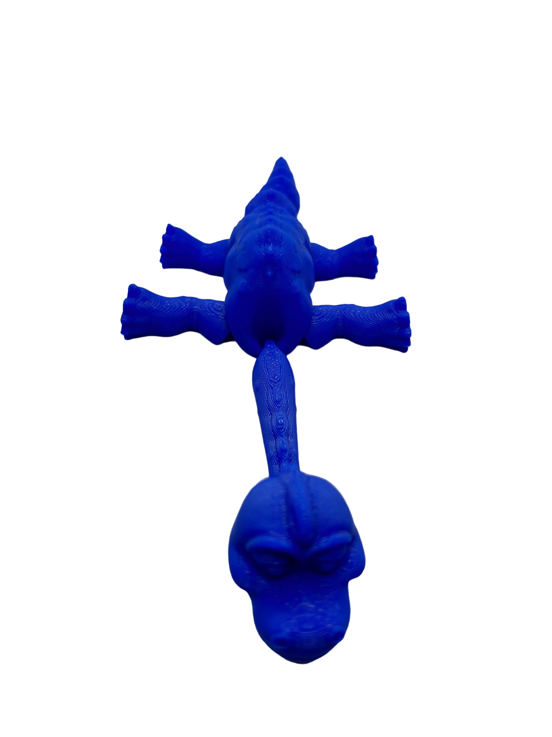 Flexi Brachiosaurus - Small image 9